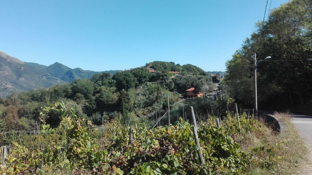 Casa Greta Villa Massarosa Bagian luar foto